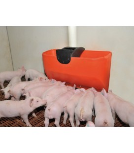 Tolva de 5 bocas de destete de cerdas Material para distribución y alimentación granjas de cerdos