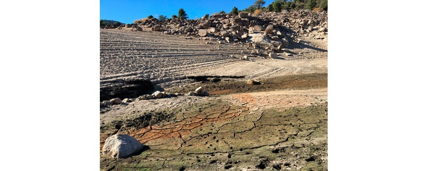 Valoran las pérdidas de la sequía en más de 3.600 millones de euros y critican al Gobierno de no hacer nada