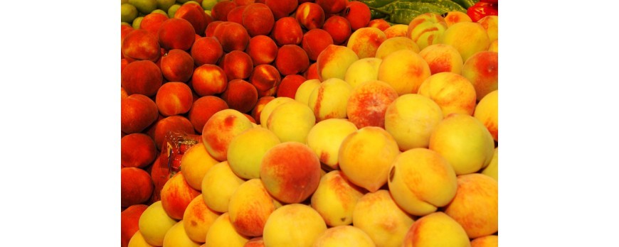 Los productores de fruta dulce piden mejoras fiscales para la campaña 2018