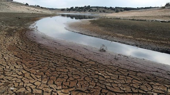 El ministerio de Agricultura ha presentado los resultados de las medidas contra la sequía de 2017