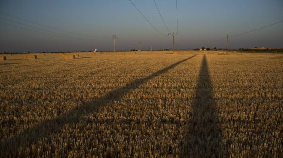 Se Prevé una bajada de cultivos de cereales por la sequía y los precios