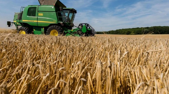 Los precios de los cereales quedan a la baja otra semana más