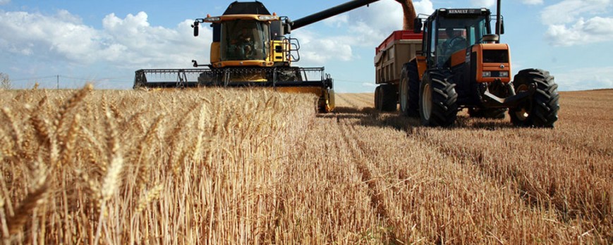 Suben los precios de los cereales en los mercados mayoristas finalmente