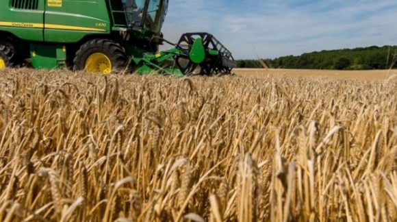 Se mantienen la subida de precios de los cereales en los mercados mayoristas
