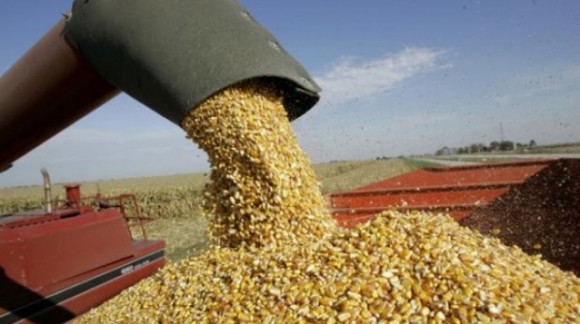 El consumidor llega a pagar más de un 800% más de lo que gana un agricultor por los cereales