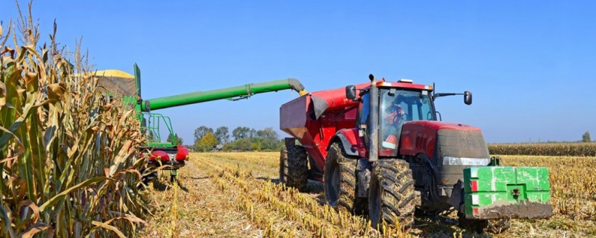 Los bajos precios marcan la tónica de la cosecha del cereal
