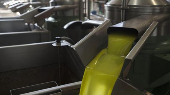 El precio del aceite de oliva se mantiene y con precios al alza