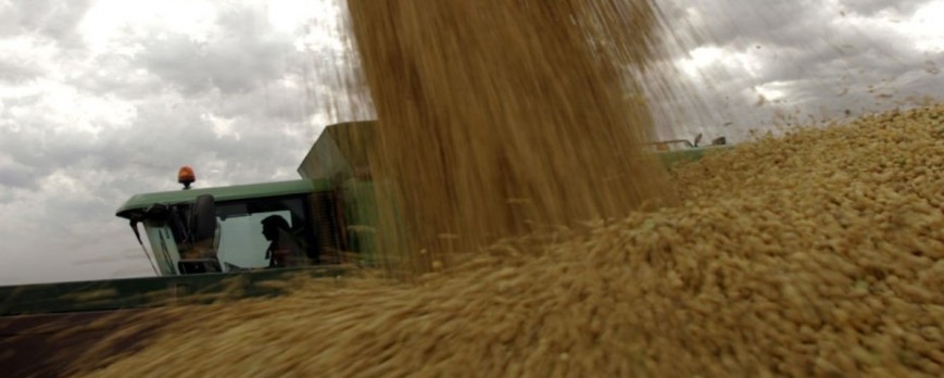 Los mercados mayoristas bajan el precio de los cereales, rompiendo la tendencia del verano