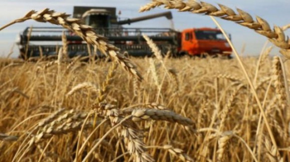 El precio de los cereales no levanta cabeza, nuevamente con bajadas