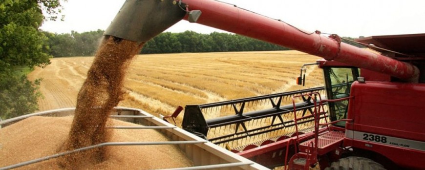 Subidas generalizadas de precios en el sector cerealista