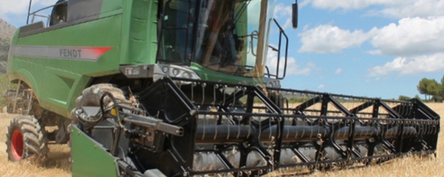 Esta semana solo se salva el trigo duro de unos descensos generalizados en los precios