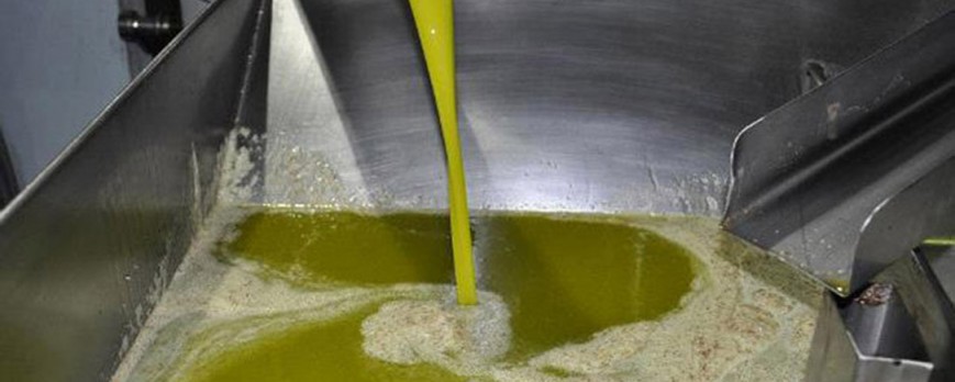 Ninguna protesta hace bajar el precio del aceite de oliva en el mercado