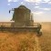 El precio del trigo duro sube levemente y el resto de cereales se mantienen igual