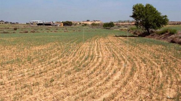 CyL da acceso para solicitar ayudas contra la sequía sin seguro agrario