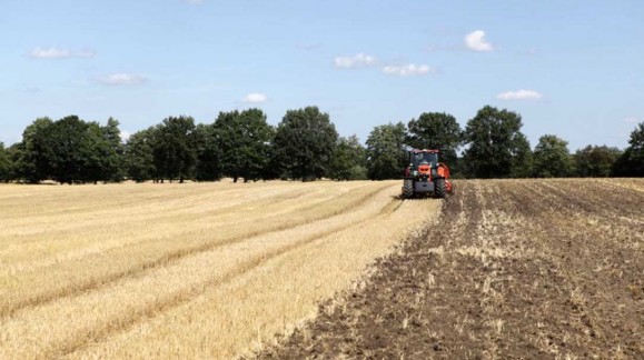 Según el Ministerio de Agricultura, los agricultores han percibido ya 200 millones de euros en ayudas contra la sequia