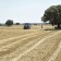 La producción de cereales baja un 40% en Castilla la Mancha